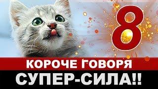 КОРОЧЕ ГОВОРЯ l СУПЕР СИЛА #8 [От первого лица] БЕЗДОМНЫЙ КОТЕНОК