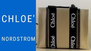 Chloe' bag New Collection | Nordstrom Department Store | Handbag Pick