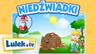 Ciekawostki o niedźwiadkach. Zwierzęta dla dzieci. Lulek.tv