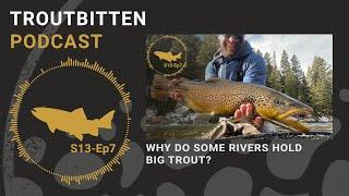 Why Do Some Rivers Hold Big Trout? The Troutbitten Podcast -- S13, Ep7