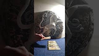 КАКАЯ ТАЙНА ОТКРОЕТСЯ ТЕБЕ
