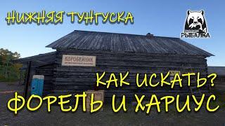 Русская рыбалка 4 (рр4). Нижняя Тунгуска. Вертушки. Форель ручьевая. Хариус.