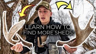 MAJOR SHED HUNTING MISTAKES