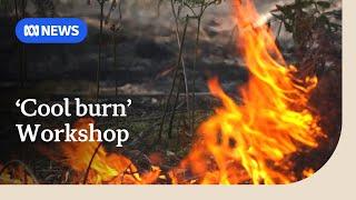 Aboriginal cultural burning practices helping Tasmanians maintain country | ABC News