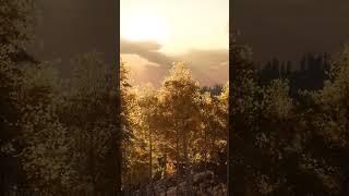Autumn Serenity: Calming Fall Ambience with Relaxing Music and Peaceful Scenery | Sky Relaxation