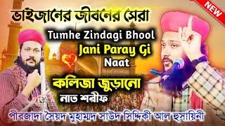 কলিজা জুড়ানো নাত শরীফ।পীরজাদা সাউদ সিদ্দিকী। Tumhe Zindagi Bhool Jani Paray Gi Naat By Saud Siddique