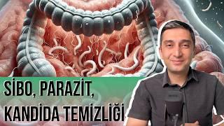 Natural Supplements in the Treatment of Parasites, SIBO, Candida (INTESTINE CLEANING)