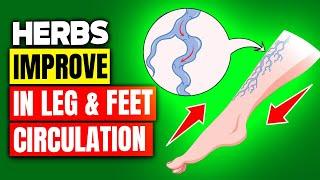 10 Miracle Herbs to Boost your Leg & Feet Circulation