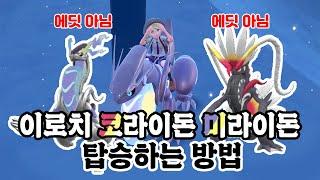 에딧X 이로치 미라이돈 & 코라이돈을 타고 달려보자! 누구나 쉽게 할 수 있는 이로치락 전설몬 탑승법! [포켓몬 스칼렛 바이올렛 정보&공략]