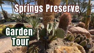 Desert Garden Tour at the Las Vegas Springs Preserve