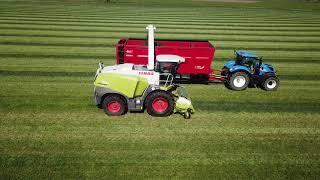 Loonbedrijf Chris Mols  |  Gras hakselen 2021 | CLAAS Jaguar 950 |