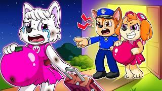 Paw Patrol Ultimate Rescue | Skye x Rocky Fall in Love Without Chase!? - Sad Love Story | Rainbow 3