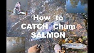 How To CATCH Chum SALMON