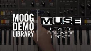 Muse | How to Update Firmware