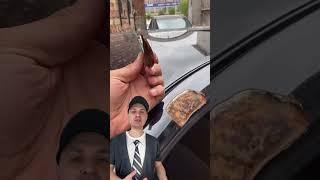 Ремонт кузова авто: слои штукатурки и халтура
