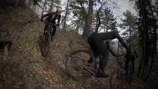 RADWELT Michi Knopf Bikepalast MATTERSBURG | Welcome to the Shop