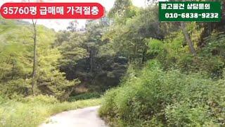 경매직전 35700평 완벽한땅             엄청 손해보고 공짜가격에 급매매