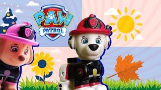  PAW PATROL Aprendemos las ESTACIONES con MARSHALL y SKYE - VIDEO PARA NIÑOS DE 3 A 4 AÑOS