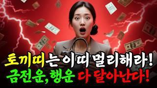 2025년 토끼띠, 이 띠랑 엮이면 돈 잃습니다｜궁합운 좋은 띠 vs 상극 띠 총정리