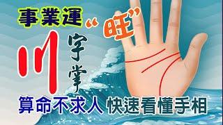 【算命不求人】快速看懂手相-(四十二)事業運強的川字掌|Palmistry with strong career fortune