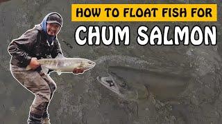 Try Chum Salmon Fishing If You Like Many Bobber Downs! | Fishing with Rod #salmonfishing #fishing