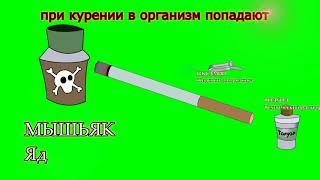 Вред курения | Зер-Күміс ТОО
