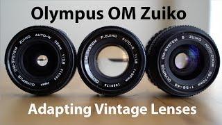 OM Zuiko 28mm | 50mm | 35-70mm - Adapting Vintage Lenses