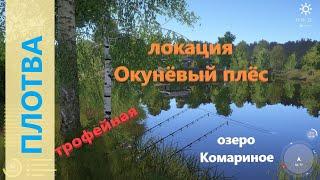 Русская рыбалка 4 - озеро Комариное - Плотва трофейная напротив базы