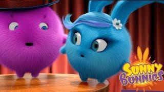 Cartoons for Children | SUNNY BUNNIES - BIG BOO THE MAGICIAN | Funny Cartoons For Children