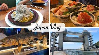 food trip to Numazu, Shizuoka | action at fish market, coelacanth aquarium