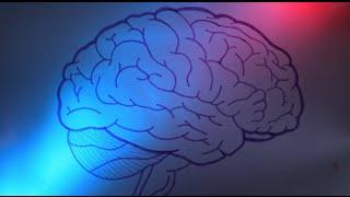 Conocer cómo afectan las drogas al cerebro daría nuevo enfoque a la rehabilitación | El Tiempo