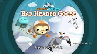 Octonauts & The Bar Headed Goose ABOVE & BEYOND SEASON 5 Full ENGLISH Episode OCTO-BLIMP 29K!!!