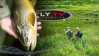 FLY TV - Dry Fly Fishing & Rising Trout in Norway