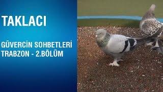 Taklacı - Güvercin Sohbetleri / Trabzon -2 Bölüm