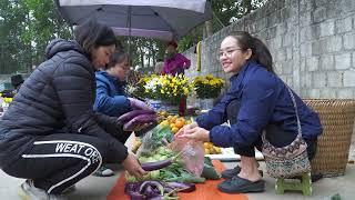 Harvesting eggplants and kohlrabi to sell at the market, cooking stuffed gourds