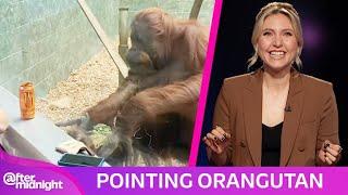 Taylor Tomlinson Discusses Creepy New Robot and Viral Pointing Orangutan