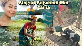Mai gaina jala singsri aa // Juri Boro// Vlog-155