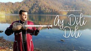 Ali Asgar Mammadov — Ay Dili Dili