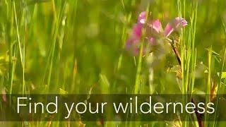 T.A. Barron Explores the Wilderness with Nature Enthusiasts #TABarron #Nature #Wilderness