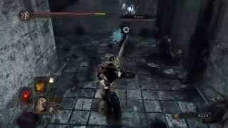 DARK SOULS 2 Scholar of the First Sin CiTARO vs Wozzbot