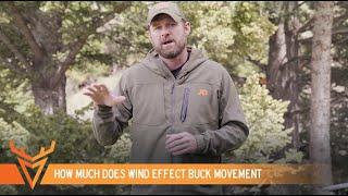 Does WIND Actually Impact Deer Movement? | S1E25 | Wired To Hunt