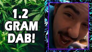 WEED MEMES & Fail Compilation [#218] - Fatally Stoned