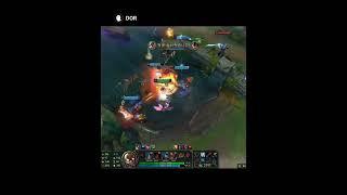 과감한 코르키 Brave Corki