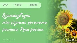 Взаємозв’язки між різними органами рослини. Рухи рослин