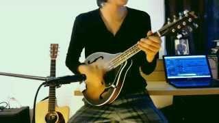 Irish Washerwoman - Mandolin Cover