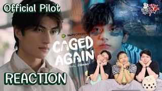 REACTION [Official Pilot] Caged Again บอกกรงๆ...ว่ารักเธอ | สายเลือดY