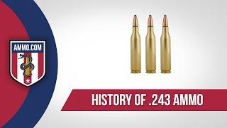 243 Ammo: The Forgotten Caliber History of 243 Ammo Explained