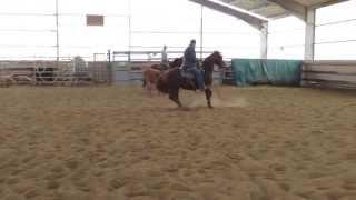 PROSPECT CUTTING FUTURITY 3 years old