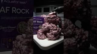 Aquaforest Rock #aquascape