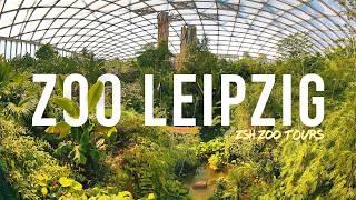 Zoo Leipzig Tour | The Best Zoo in Germany?